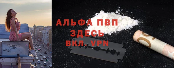 индика Балахна