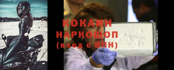 индика Балахна