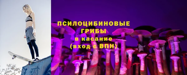 мдпв Сясьстрой