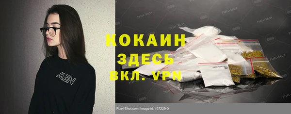 не бодяженный Тайга