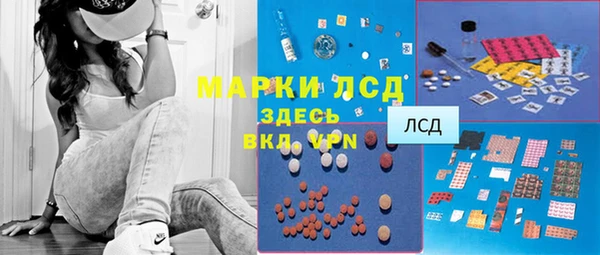 индика Балахна
