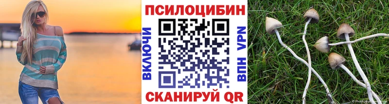 Псилоцибиновые грибы GOLDEN TEACHER  кракен как зайти  Гаврилов-Ям 